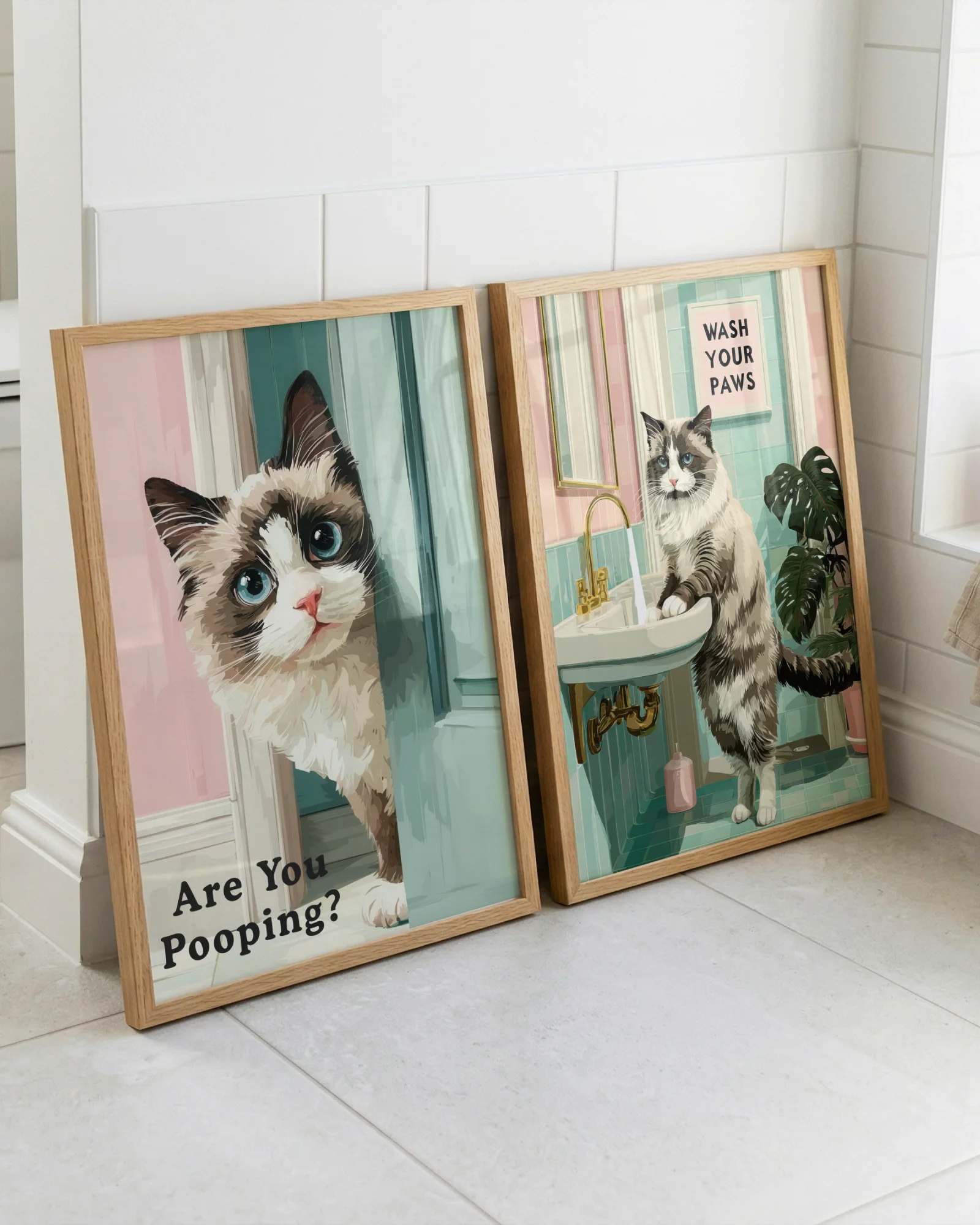 Ragdoll Cat