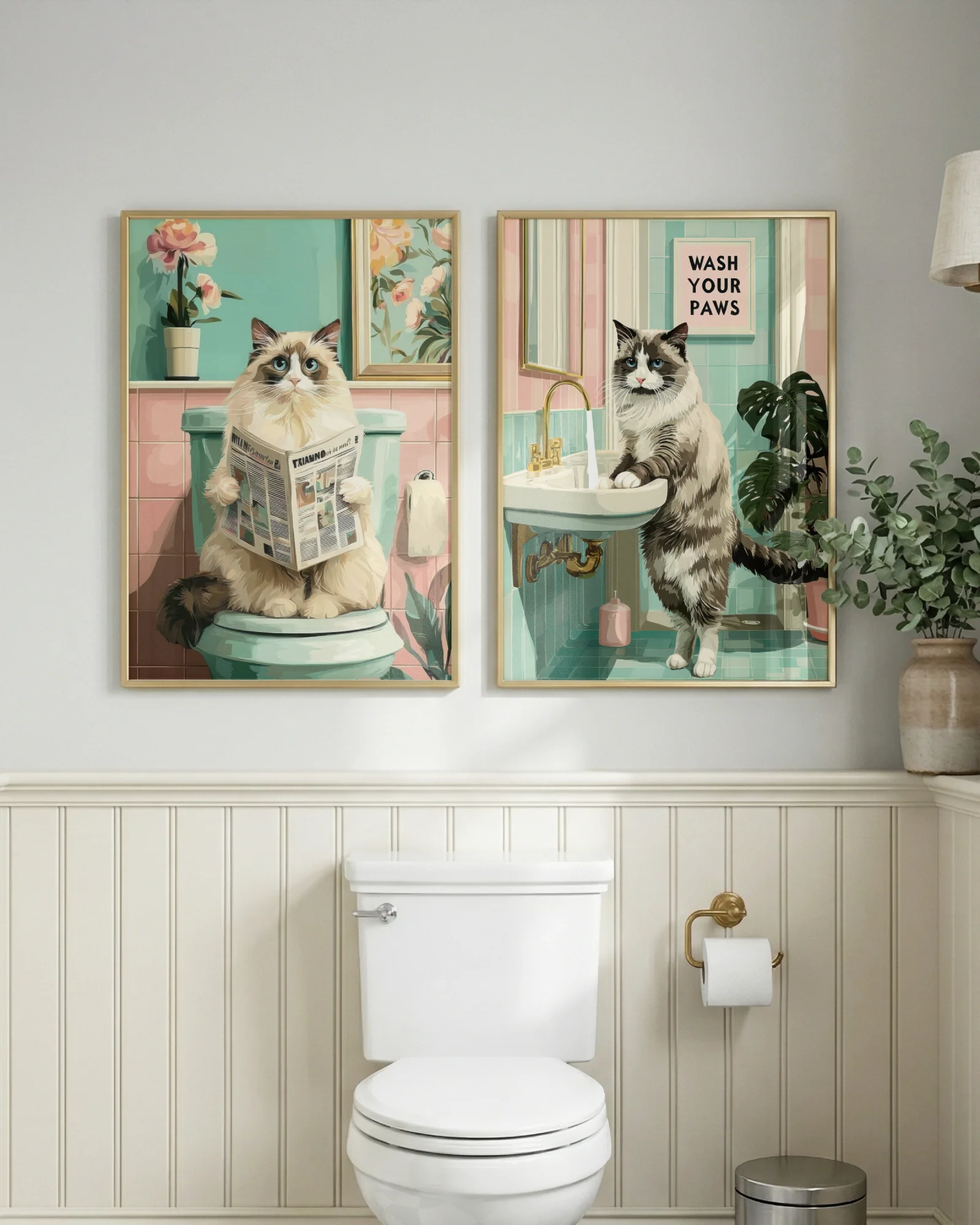 Ragdoll Cat