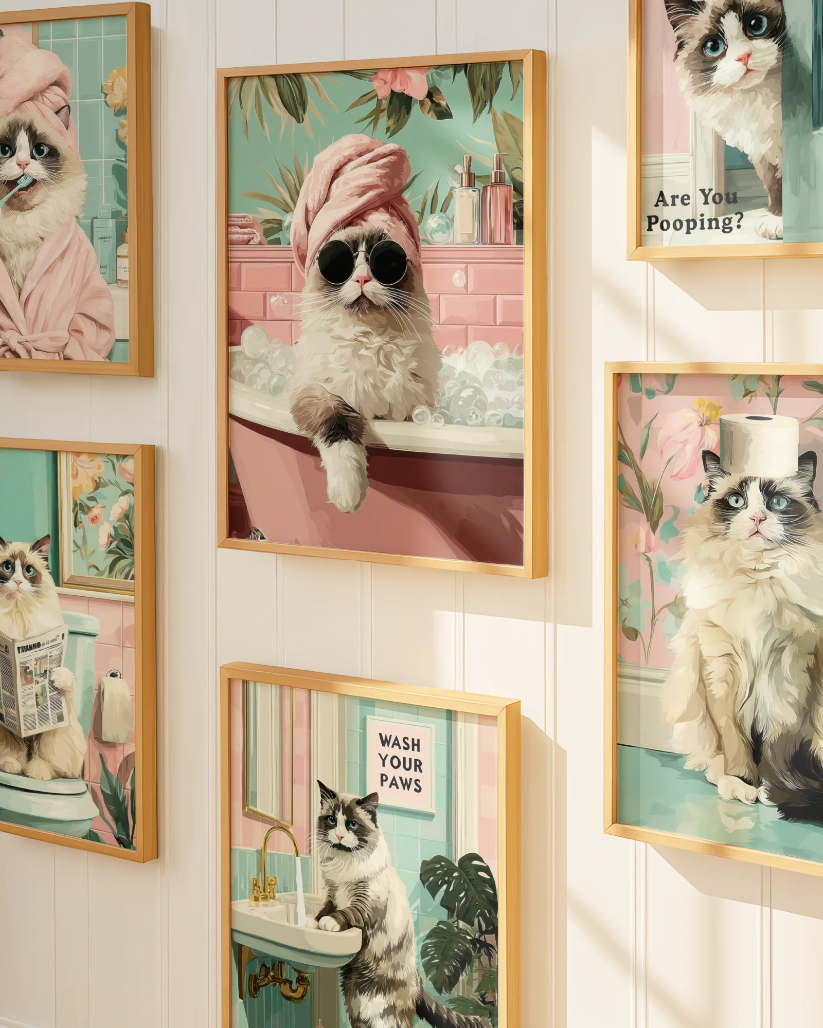 Ragdoll Cat Bathroom
